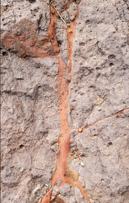 Mineralization shown in rocks at Picacho Peak